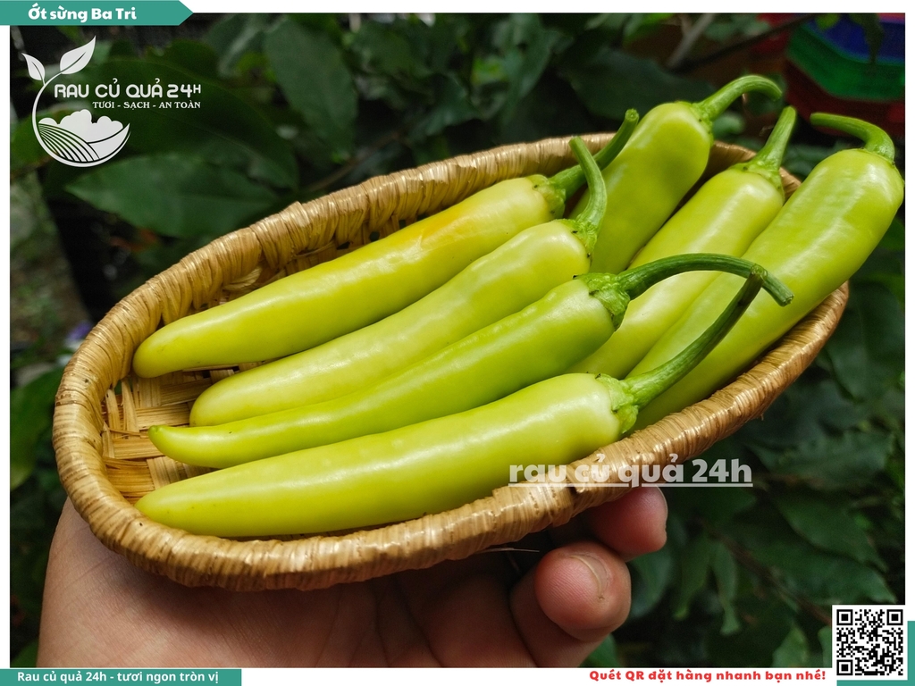 Ớt sừng Ba tri 45g