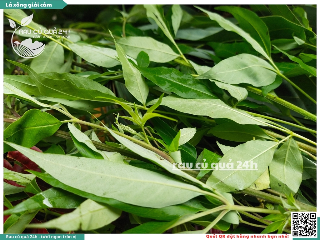 Combo Lá xông giải cảm