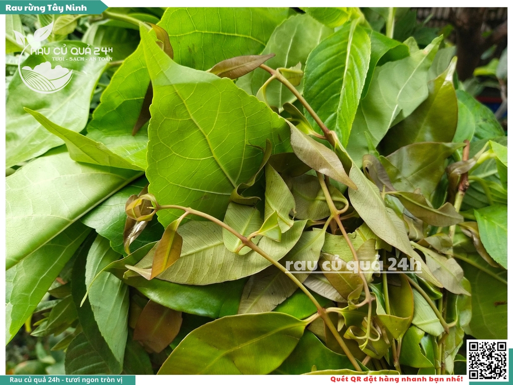 Rau rừng Tây Ninh khoảng 250g