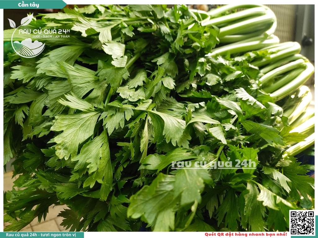 Cần tây cây vừa