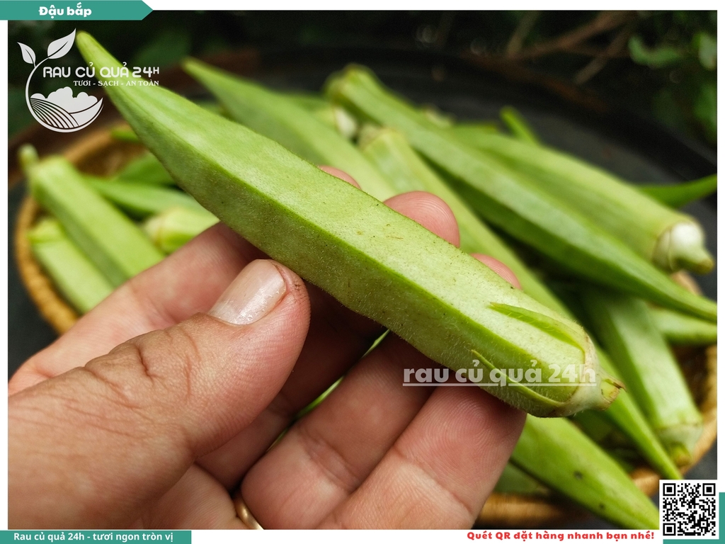 Quả Đậu bắp - 300g