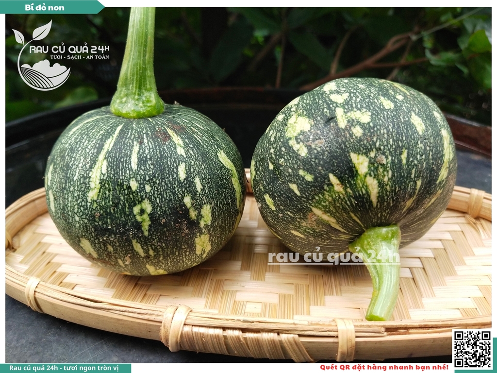 Quả Bí đỏ non