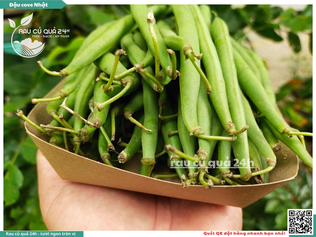 Quả Đậu Cove Nhật - 400g