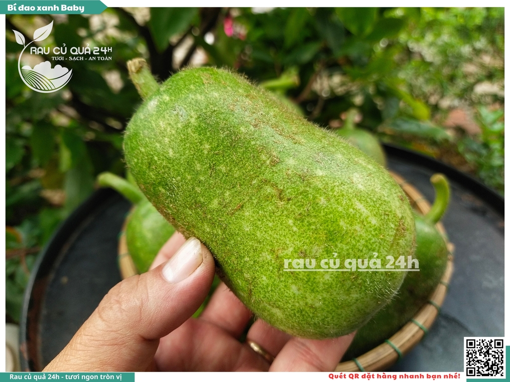 Quả Bí đao xanh baby - 2 trái