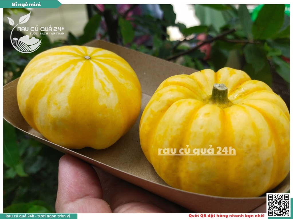 Bí ngô mini vàng 1 quả khoảng 200g