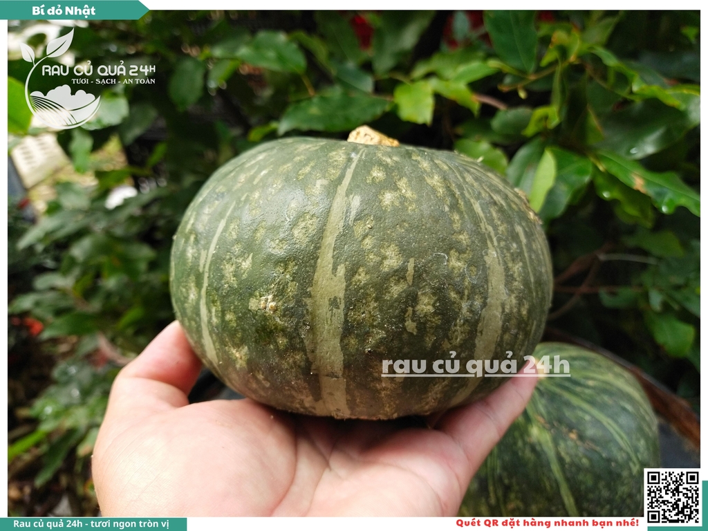 Bí đỏ Nhật - 1 quả