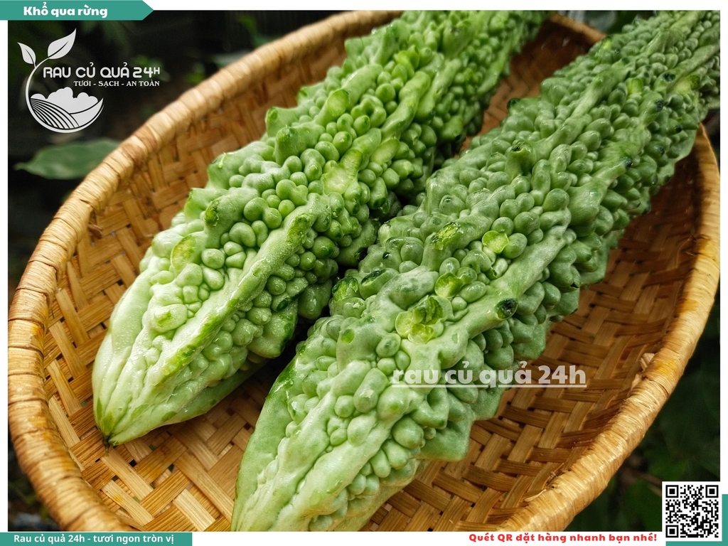 Quả Khổ qua rừng - 2 quả