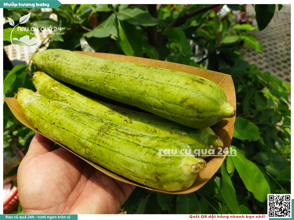 Mướp hương baby - 400g