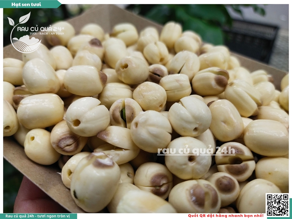 Hạt sen tươi - 100g