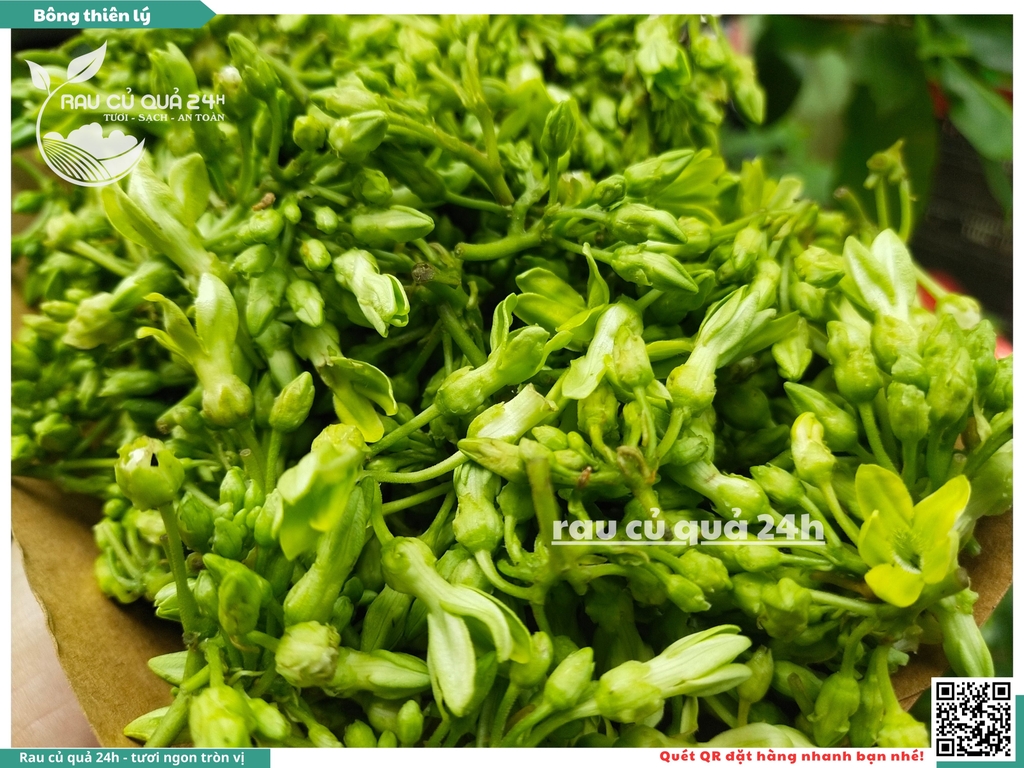 Bông thiên lý 250g