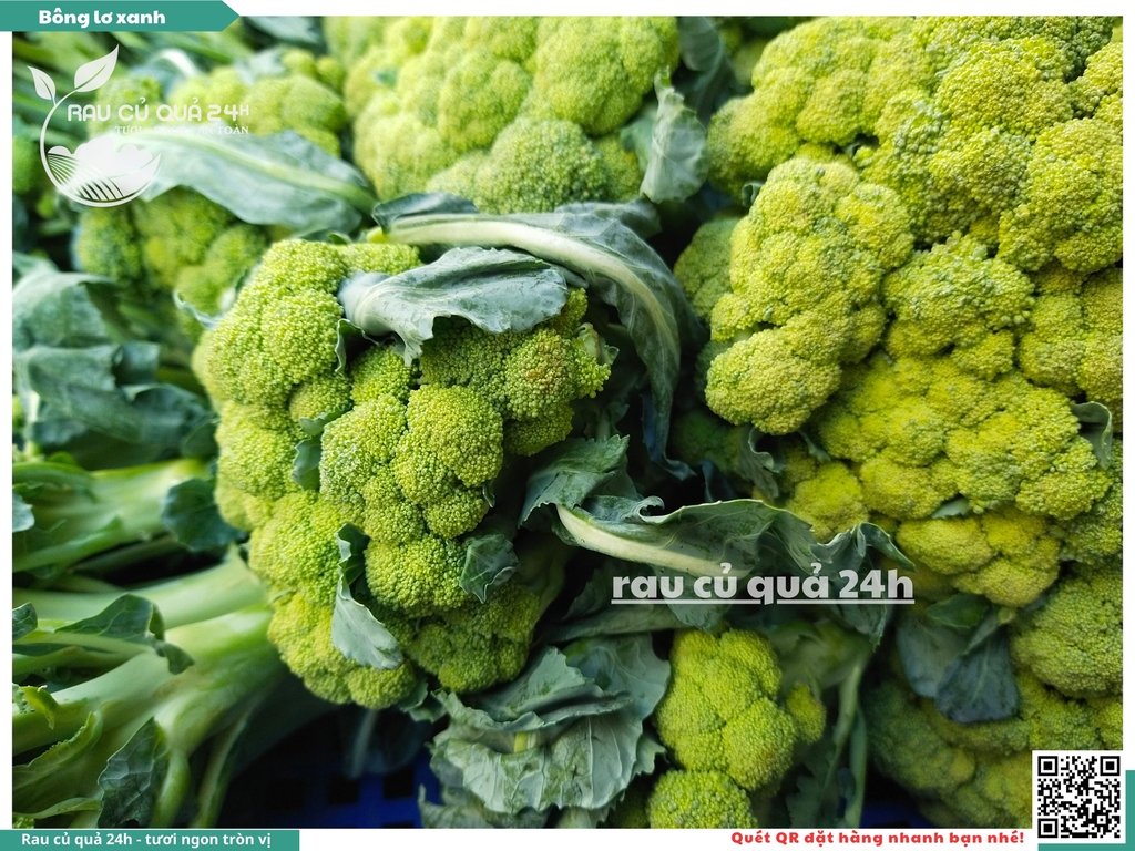 Bông lơ xanh 1 bông