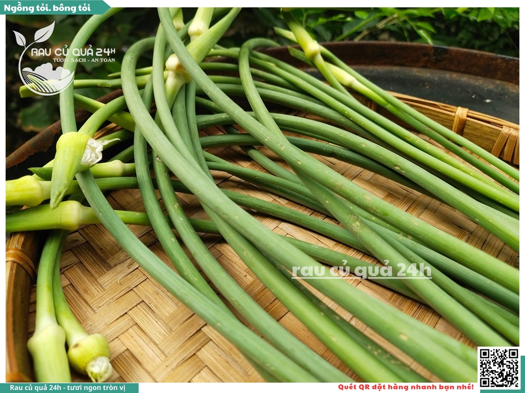 Ngồng tỏi, bông tỏi 500g