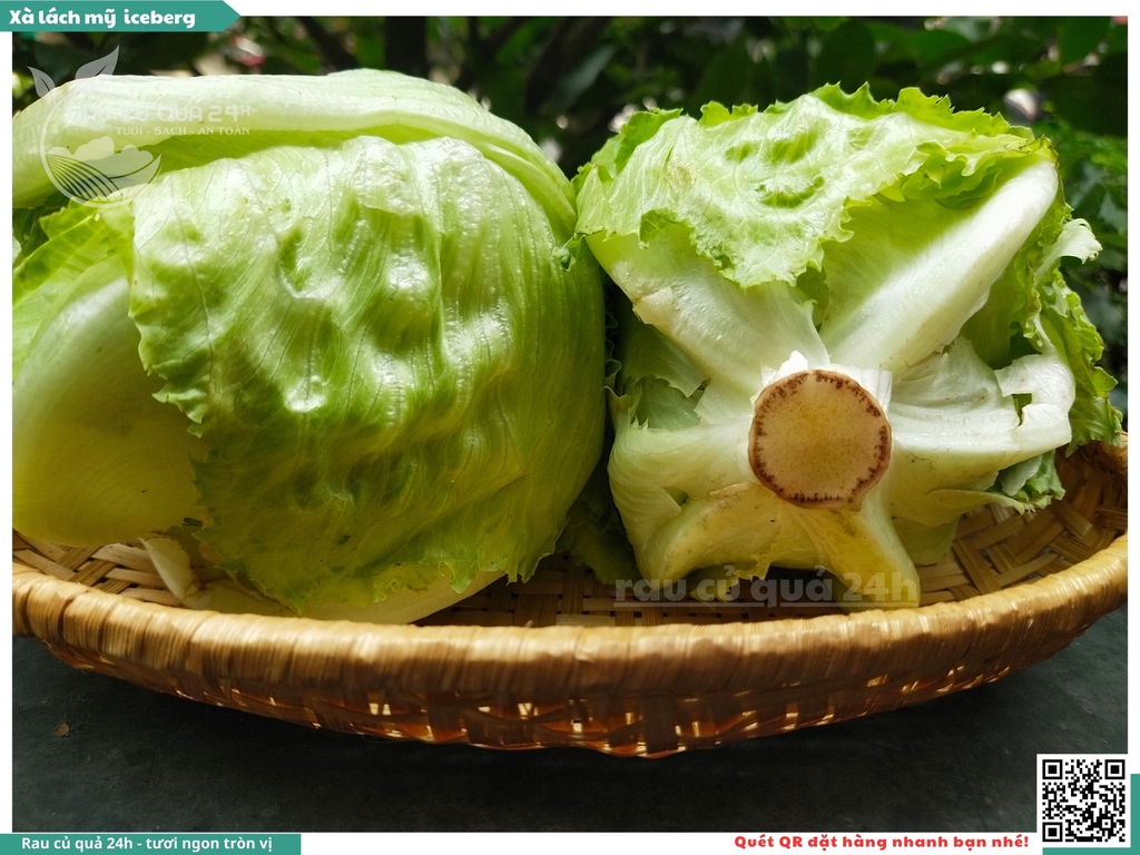 Xà lách Mỹ Iceberg 1 cây khoảng 250 - 400g