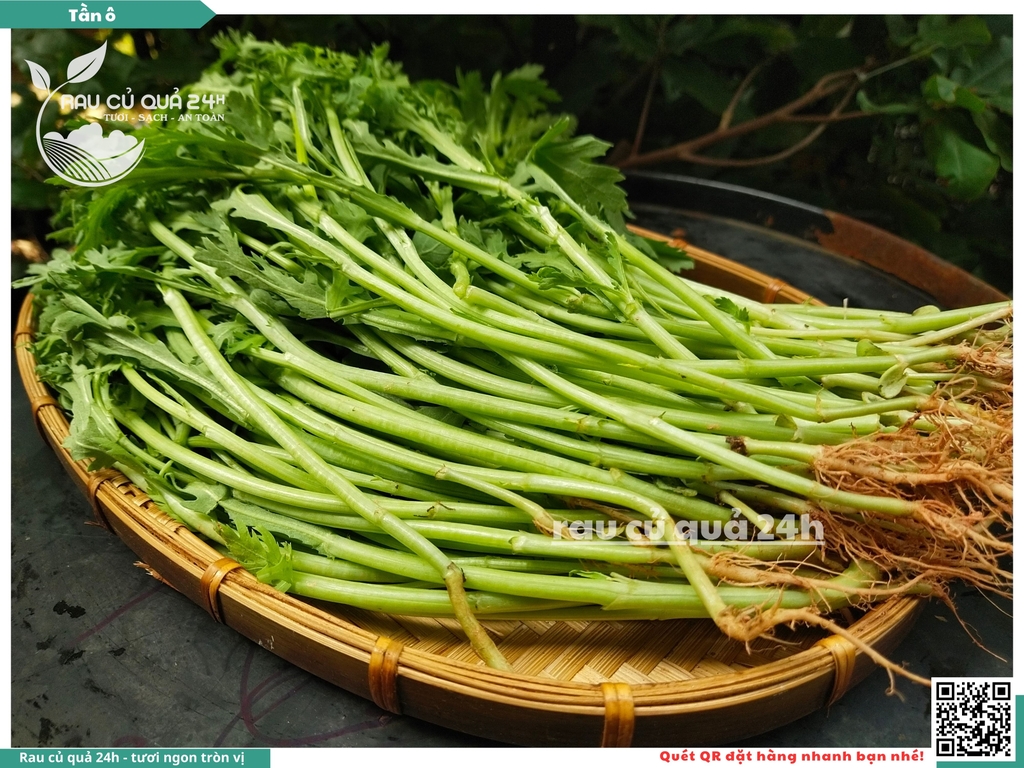 Rau Tần ô (Cải Cúc)