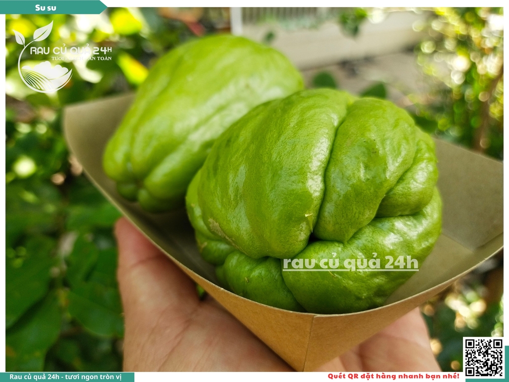 Quả Su su - 2 quả