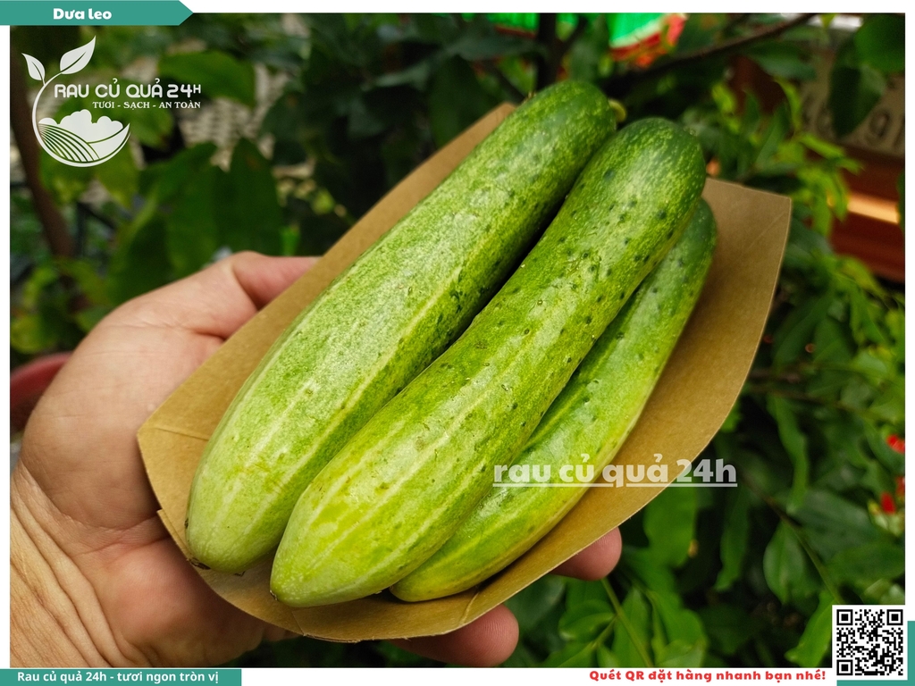 Quả Dưa leo khoảng - 400g