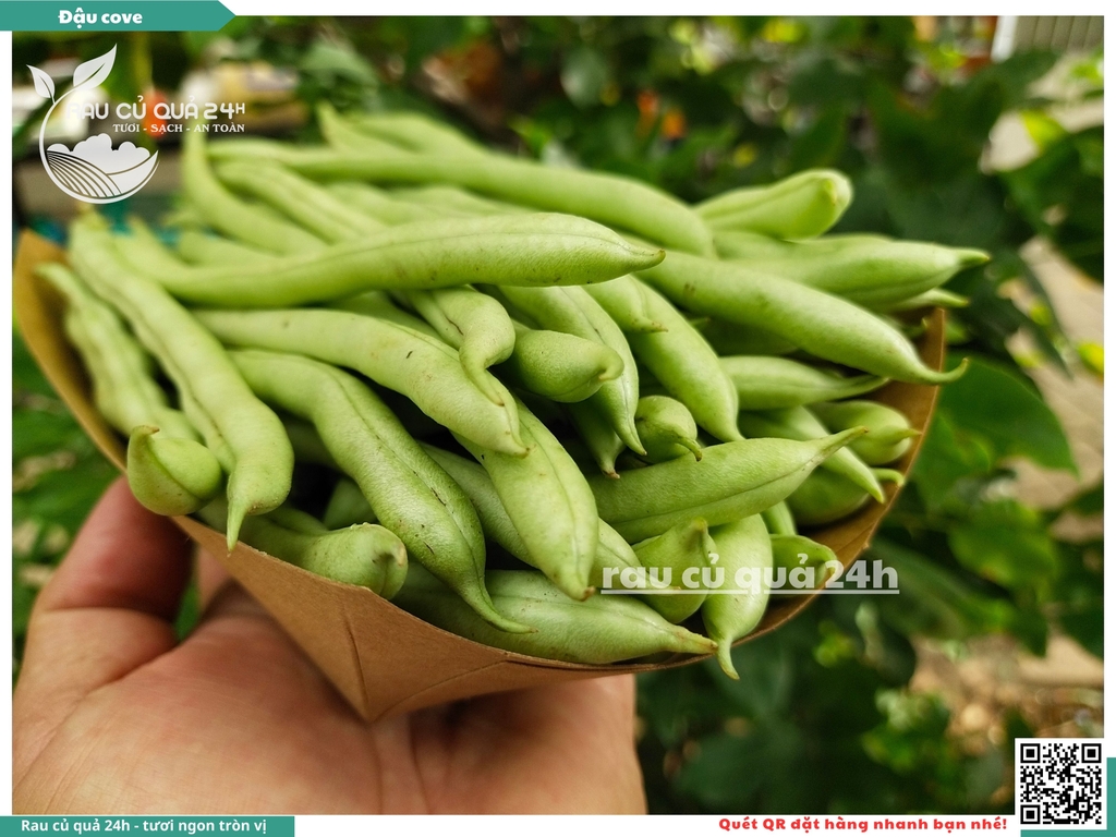 Quả Đậu cô ve - 400g