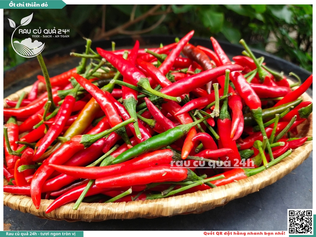 Ớt chỉ thiên đỏ - 45g
