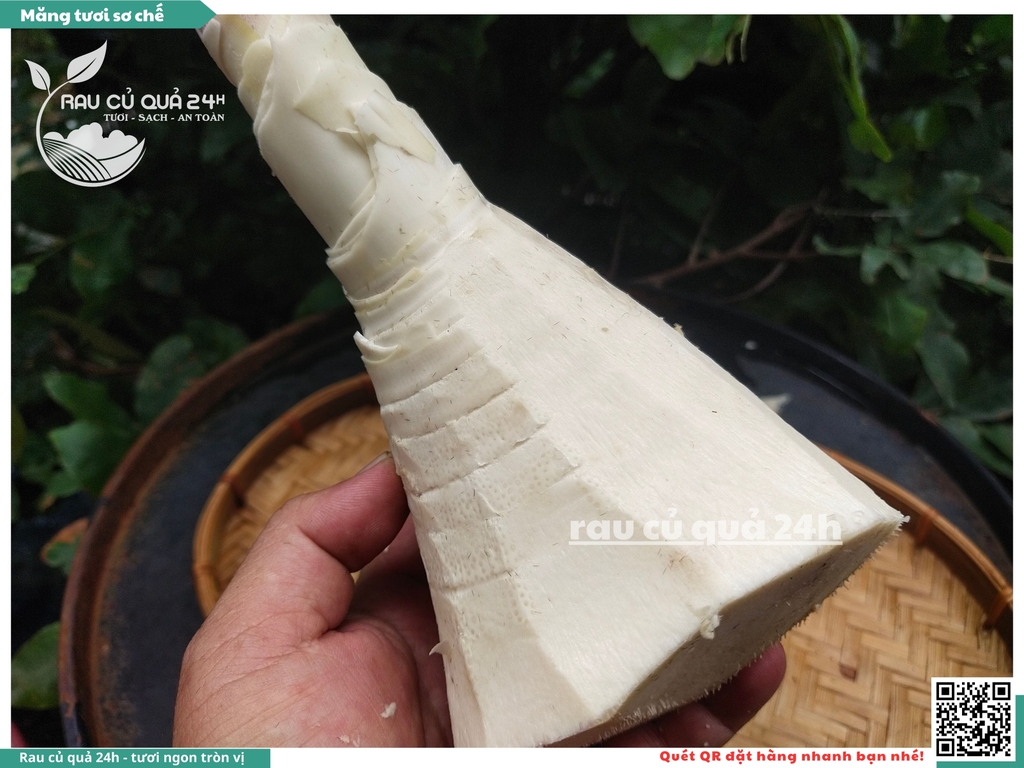 Măng tươi sơ chế - 1 cây