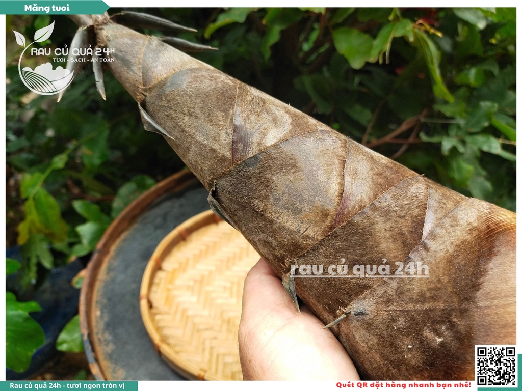 Măng tươi - 1 cây