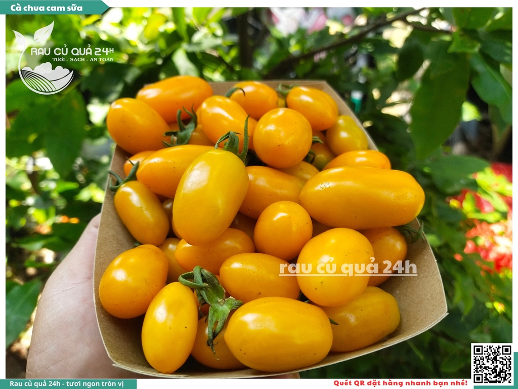 Cà chua cherry cam sữa - 500g