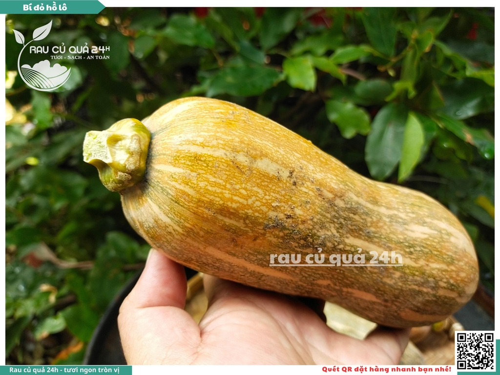 Bí đỏ Hồ Lô 1 quả khoảng 700g