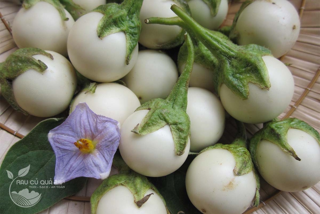 Quả Cà Pháo trắng khoảng 400g