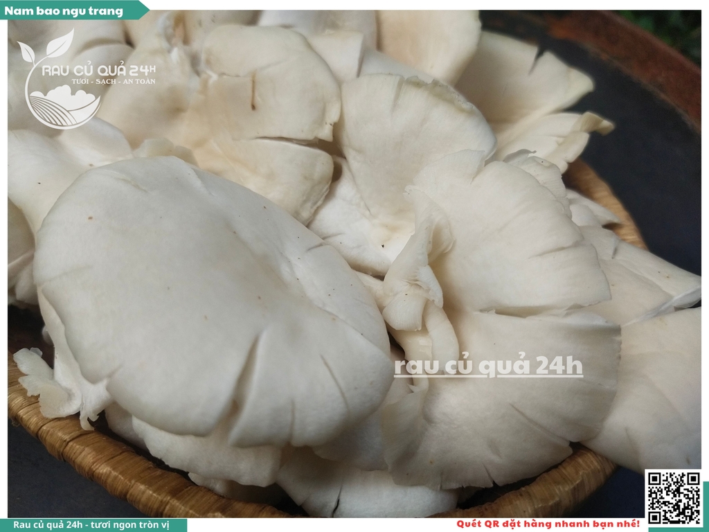 Nấm bào ngư trắng khoảng 200g