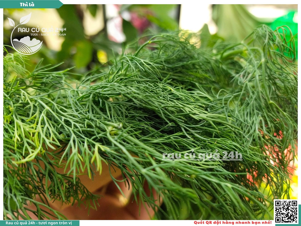Rau nêm Rau Thì là 65g
