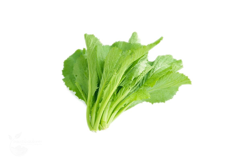 Rau Cải xanh baby 300g