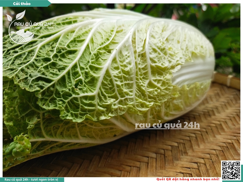 Cải Thảo - 1 cây