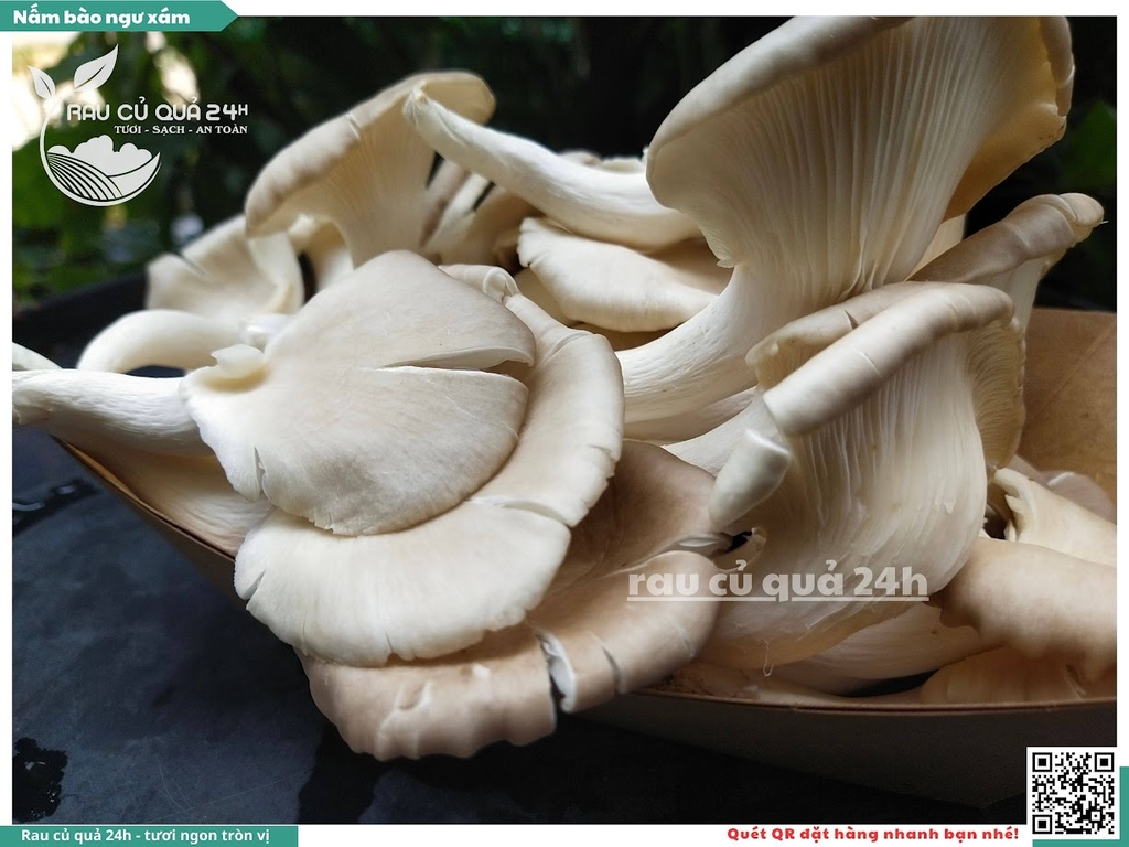 Nấm bào ngư xám khoảng 200g
