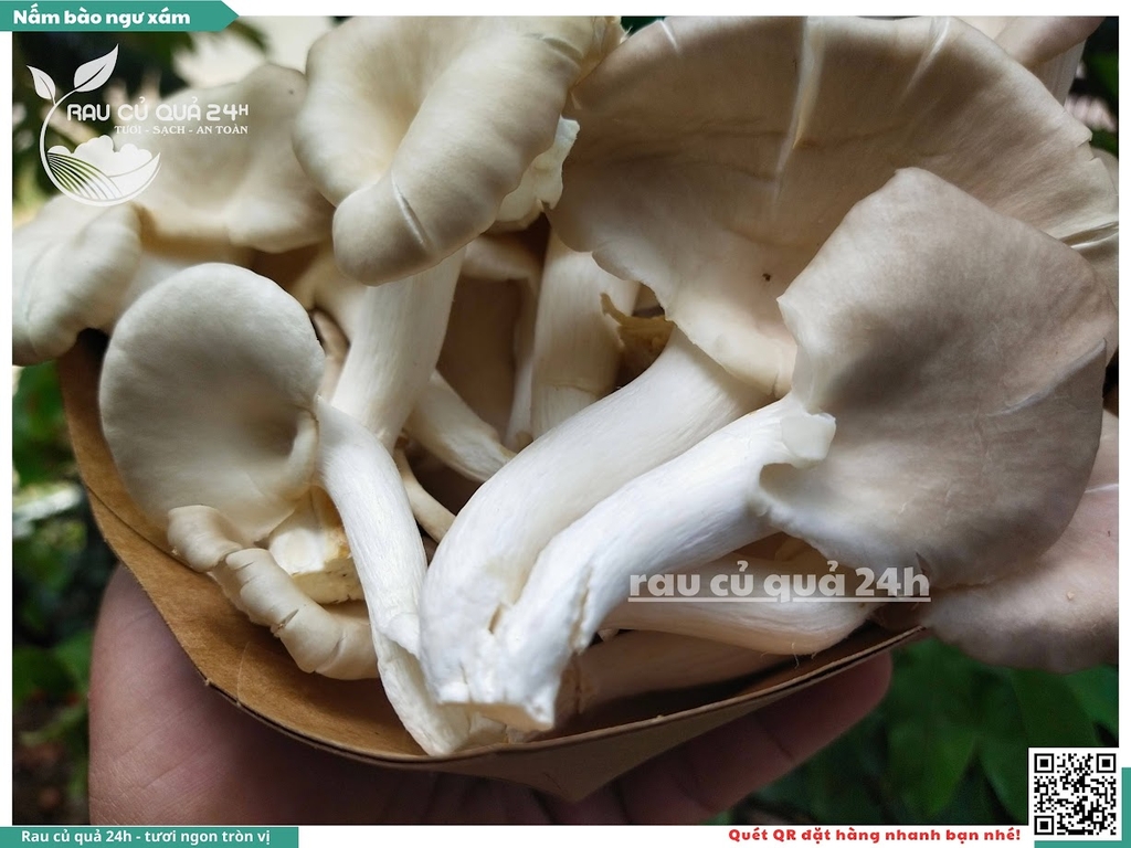 Nấm bào ngư xám khoảng 200g