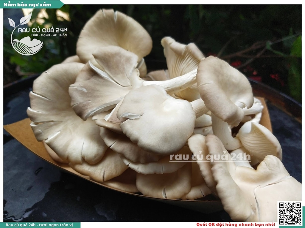 Nấm bào ngư xám khoảng 200g