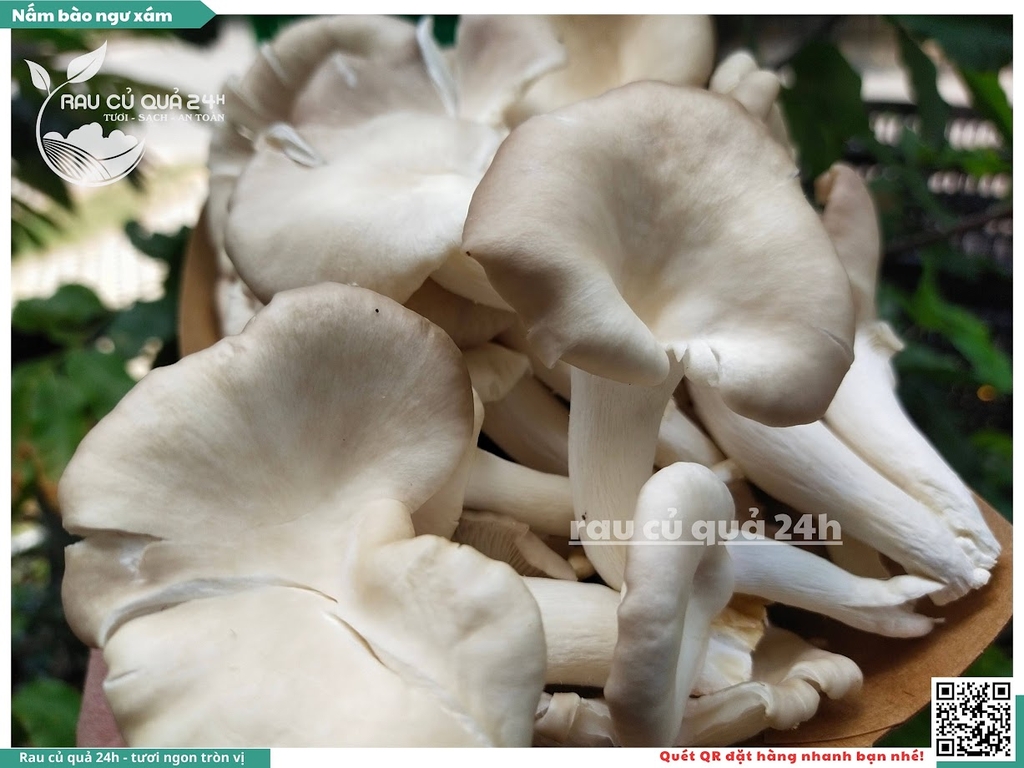 Nấm bào ngư xám khoảng 200g