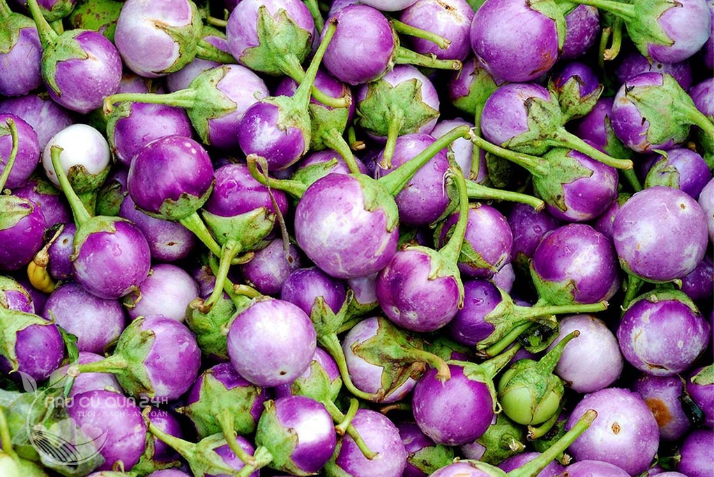 Quả Cà Pháo Tím khoảng 400g