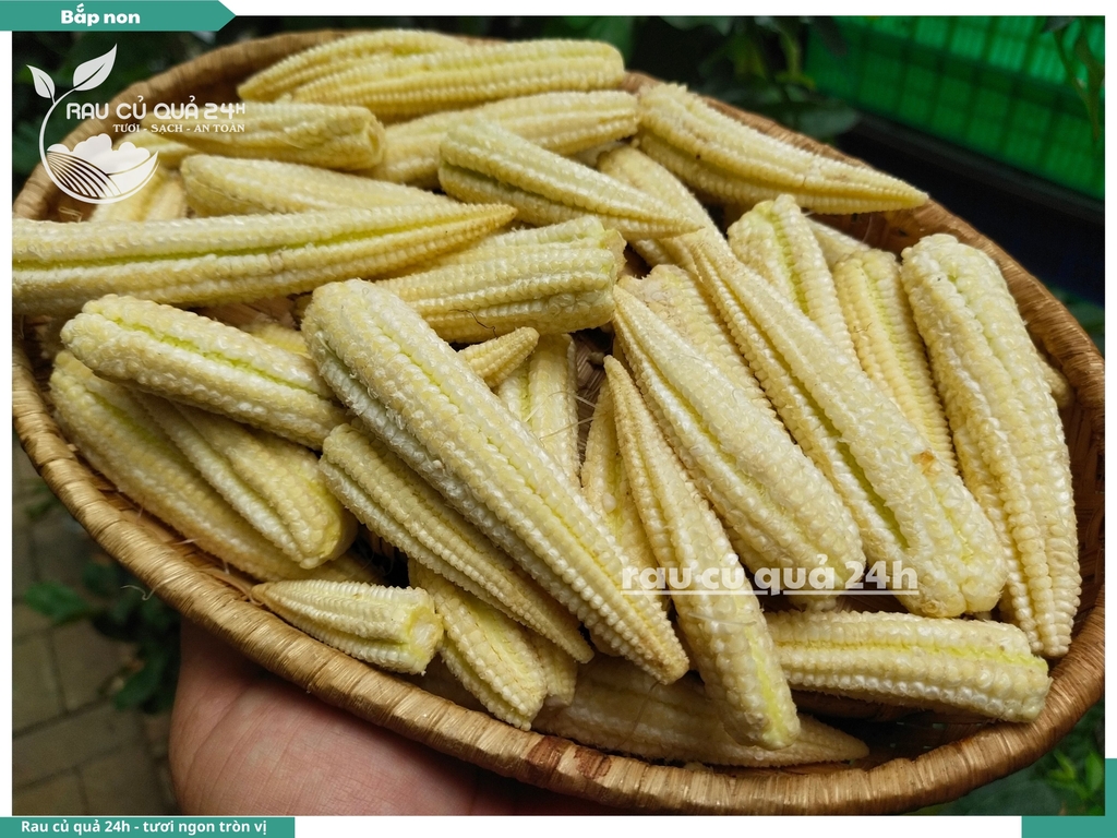 Bắp non (ngô bao tử)