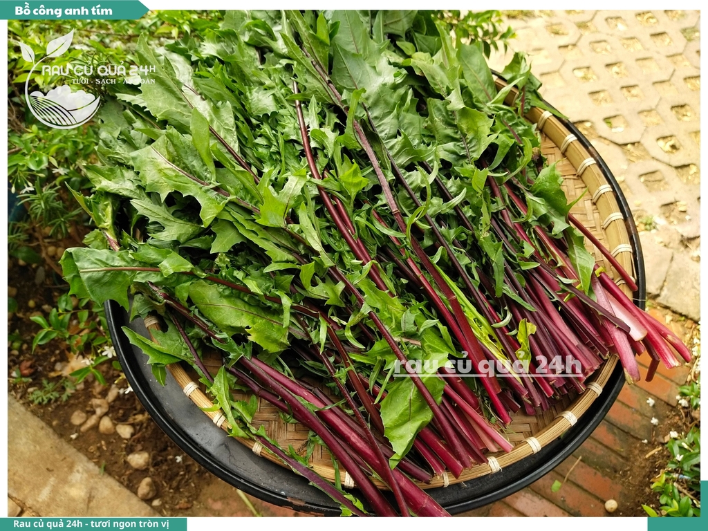 Rau Bồ Công Anh Tím khoảng 250g