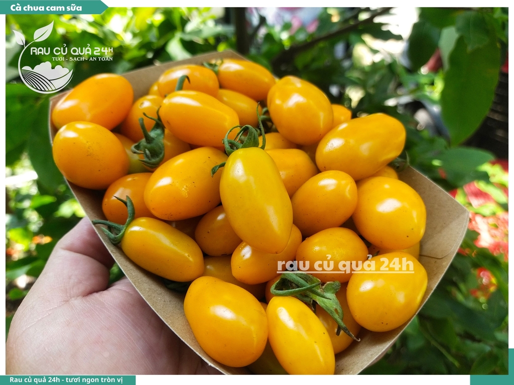 Cà chua cherry cam sữa - 500g