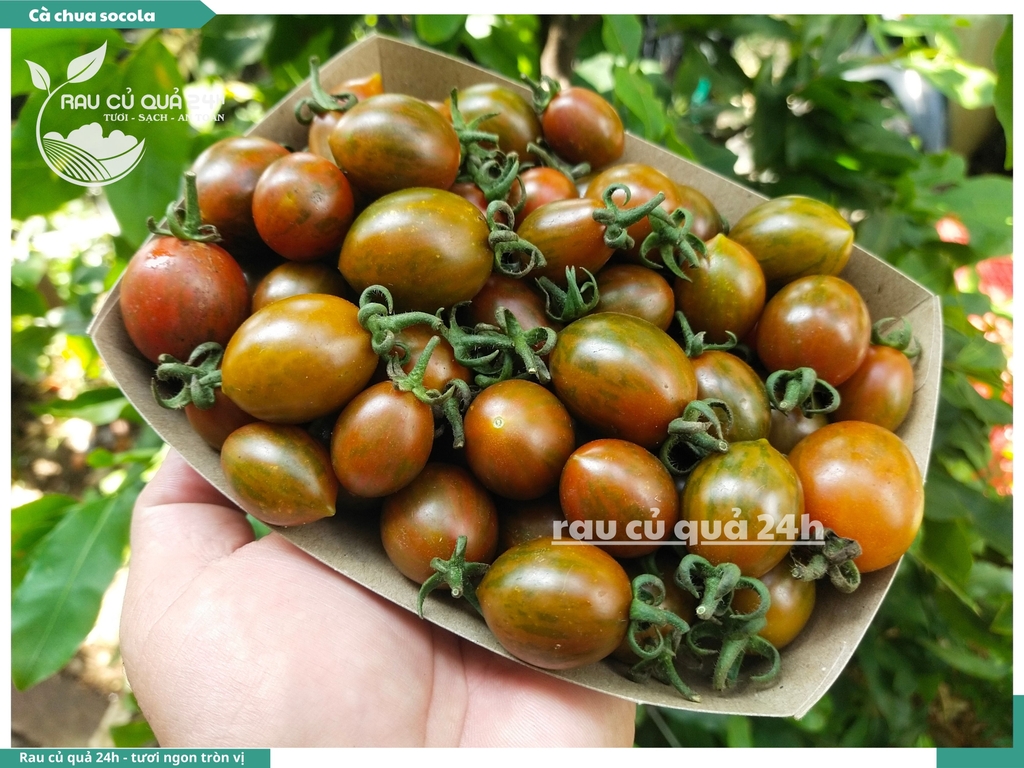 Cà chua cherry socola 250g