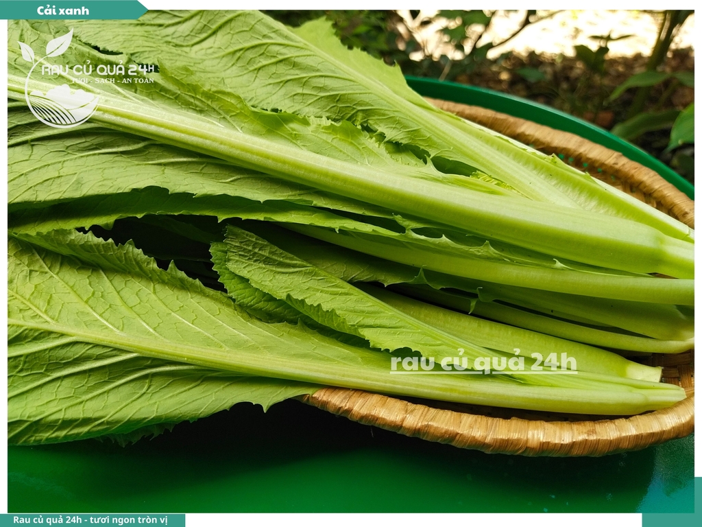 Rau Cải xanh baby 300g