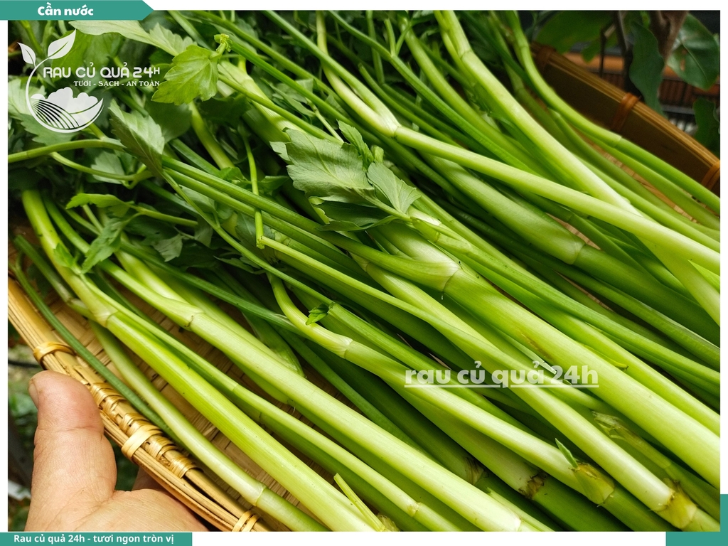 Rau Cần nước khoảng 400g