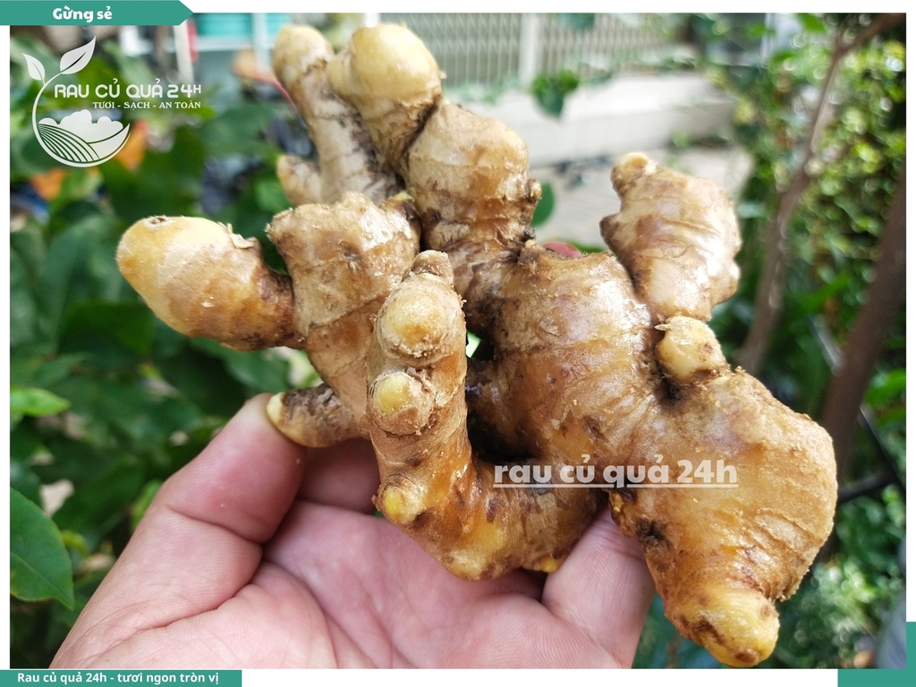 Củ Gừng sẻ 80g