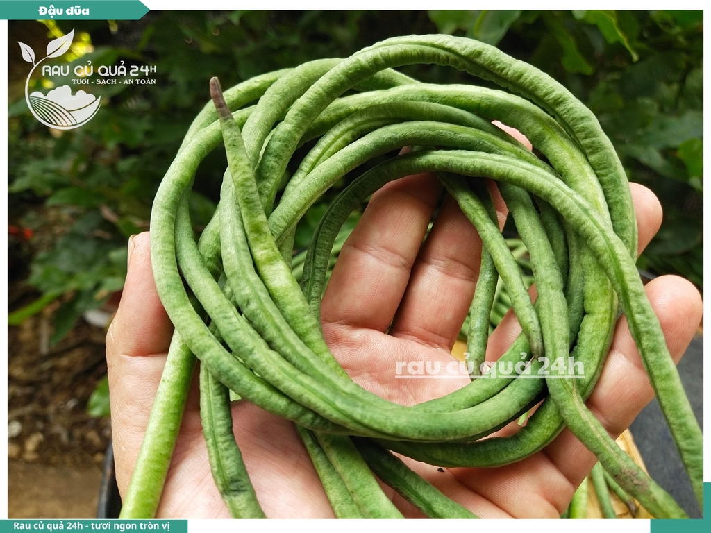 Quả Đậu đũa - 400g