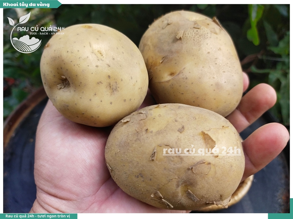 Khoai tây da vàng