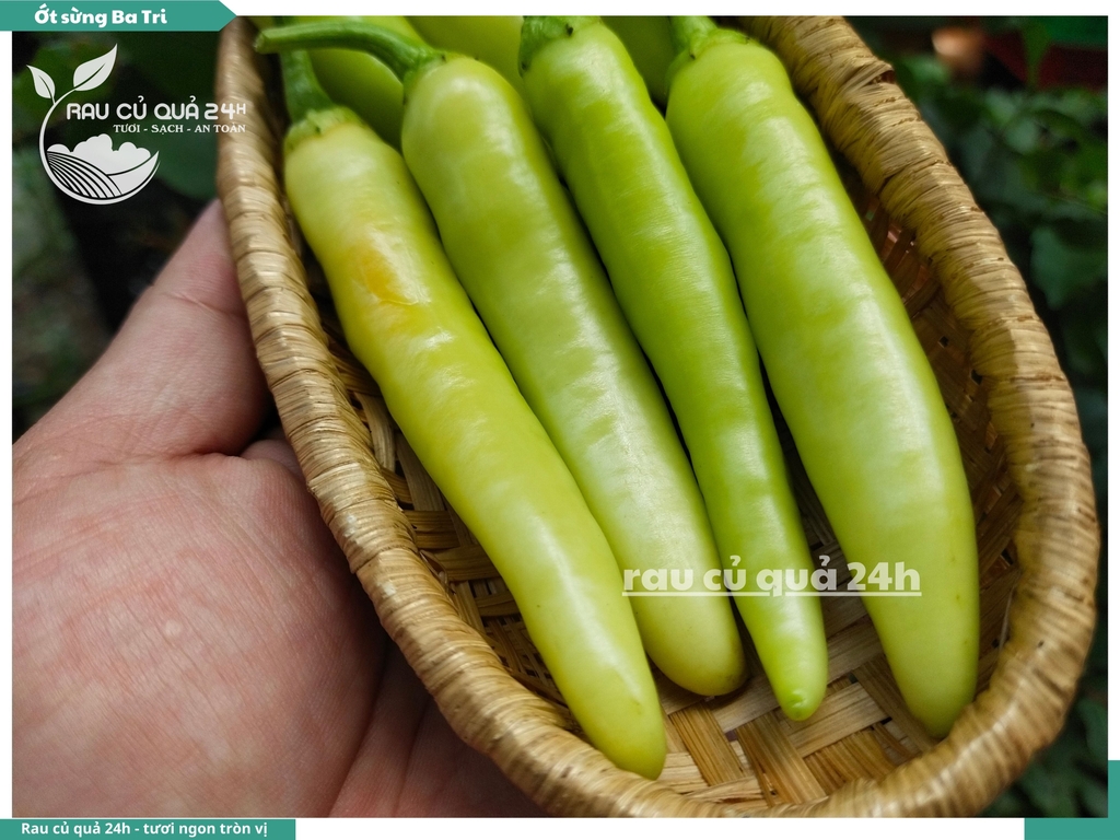 Ớt sừng Ba tri 45g