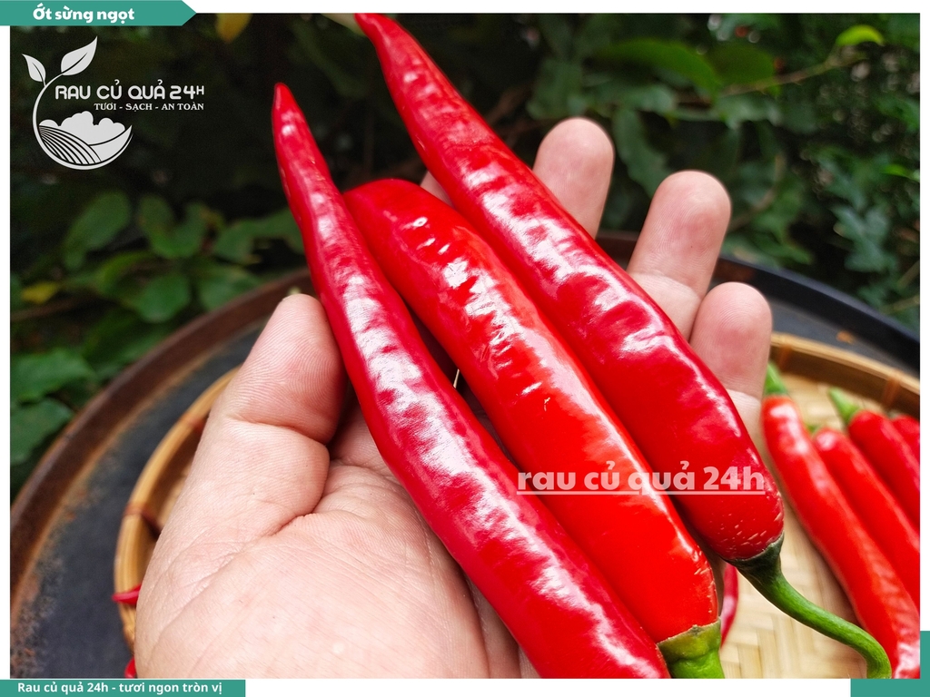 Ớt sừng ngọt 170g