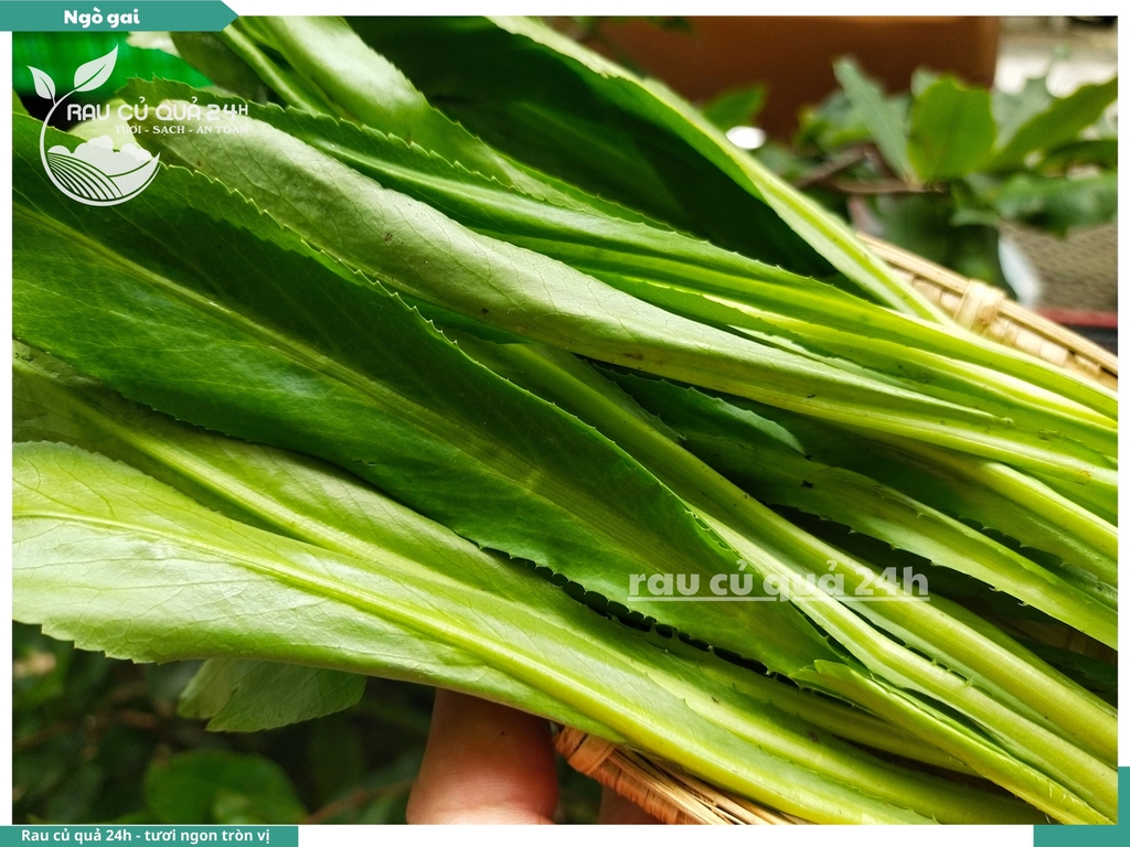 Rau nêm Ngò gai 65g