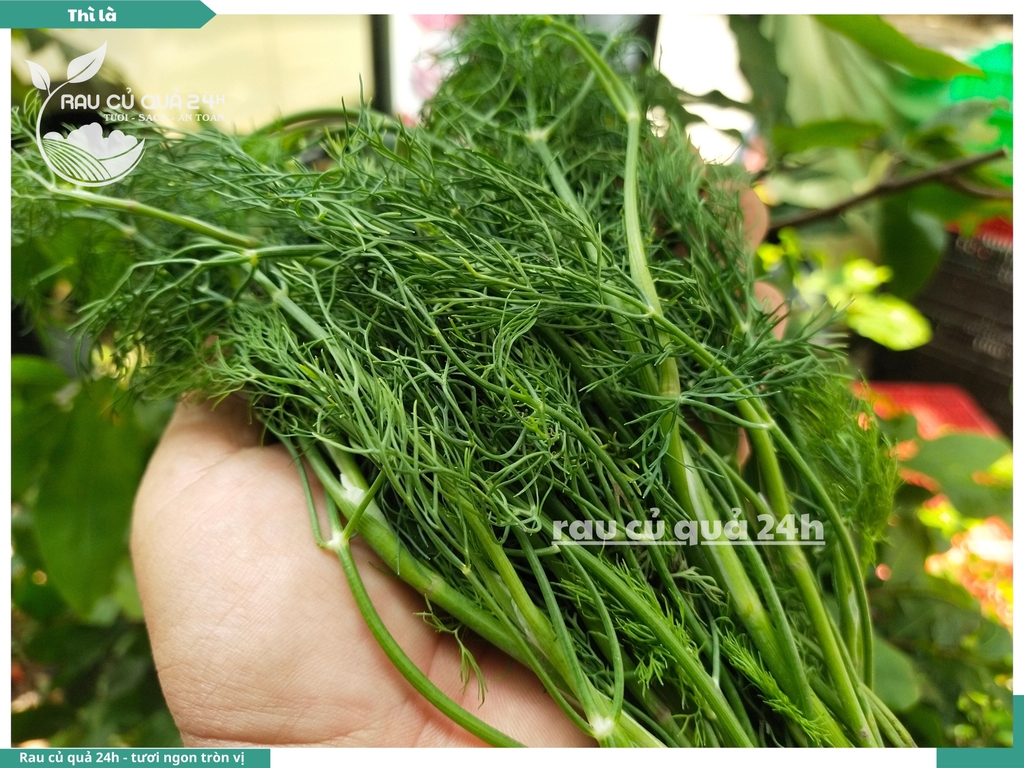 Rau nêm Rau Thì là 65g