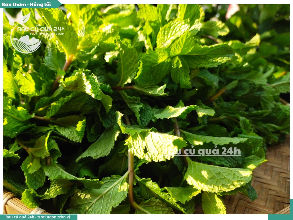 Rau thơm - Húng lũi 65g